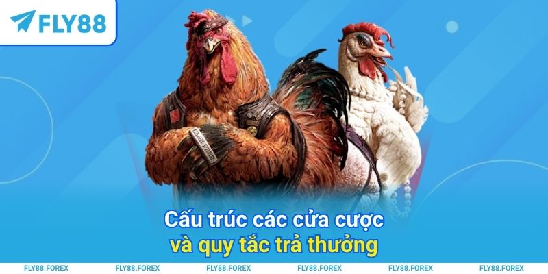 Cấu trúc các cửa cược và quy tắc trả thưởng