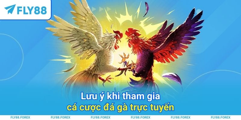 Lưu ý khi tham gia cá cược đá gà trực tuyến